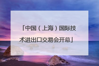 中国（上海）国际技术进出口交易会开幕