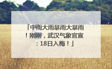 中雨大雨暴雨大暴雨！刚刚，武汉气象官宣：18日入梅！