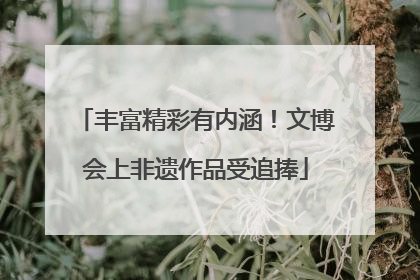 丰富精彩有内涵！文博会上非遗作品受追捧