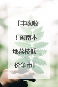 丰收啦！闽南本地荔枝低价争市