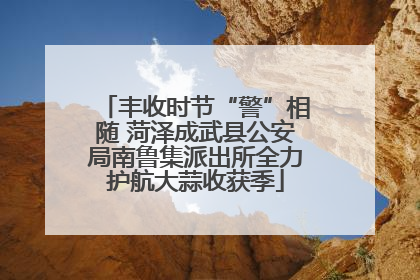 丰收时节“警”相随 菏泽成武县公安局南鲁集派出所全力护航大蒜收获季