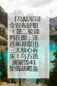 乌陆军司令宣布辞职！第二轮谈判在即，泽连斯基提出三大核心诉求！乌方透露摧毁41架俄战略轰炸机