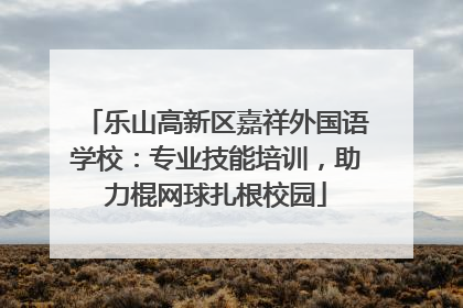 乐山高新区嘉祥外国语学校：专业技能培训，助力棍网球扎根校园