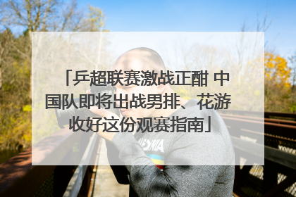 乒超联赛激战正酣 中国队即将出战男排、花游 收好这份观赛指南