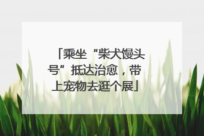 乘坐“柴犬馒头号”抵达治愈，带上宠物去逛个展