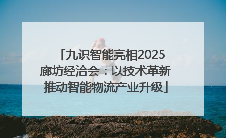 九识智能亮相2025廊坊经洽会：以技术革新推动智能物流产业升级