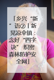 乡兴“新”语②丨新晃凉伞镇：念好“四字诀” 织密森林防护安全网