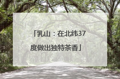 乳山：在北纬37度做出独特茶香