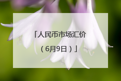 人民币市场汇价（6月9日）