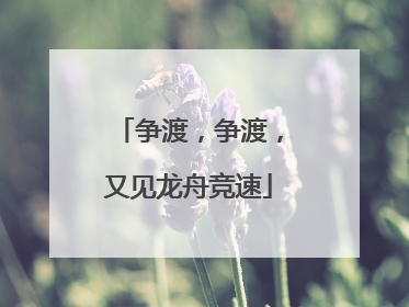 争渡，争渡，又见龙舟竞速
