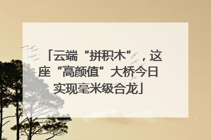 云端“拼积木”，这座“高颜值”大桥今日实现毫米级合龙