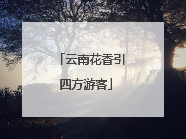 云南花香引四方游客