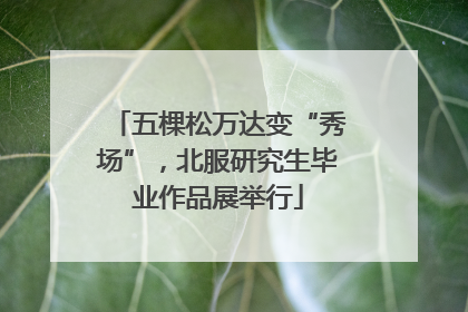 五棵松万达变“秀场”，北服研究生毕业作品展举行