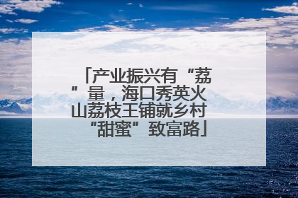 产业振兴有“荔”量，海口秀英火山荔枝王铺就乡村“甜蜜”致富路