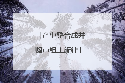 产业整合成并购重组主旋律