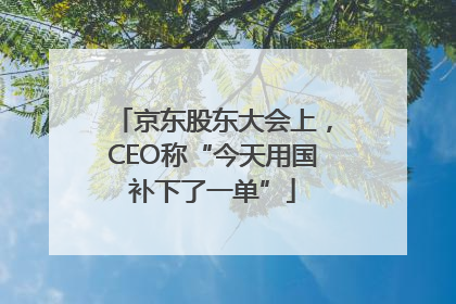 京东股东大会上，CEO称“今天用国补下了一单”