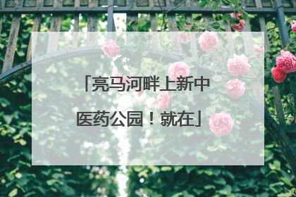 亮马河畔上新中医药公园！就在