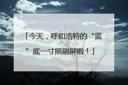 今天，呼和浩特的“蓝”底一寸照刷屏啦！