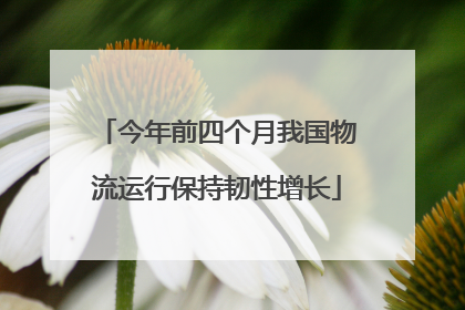 今年前四个月我国物流运行保持韧性增长
