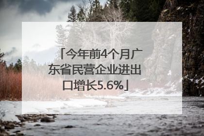 今年前4个月广东省民营企业进出口增长5.6%