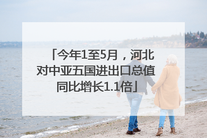 今年1至5月，河北对中亚五国进出口总值同比增长1.1倍