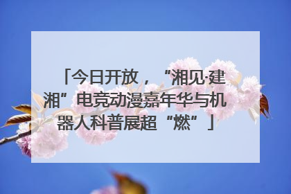 今日开放，“湘见·建湘”电竞动漫嘉年华与机器人科普展超“燃”