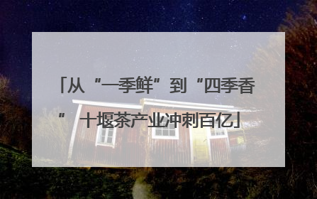 从“一季鲜”到“四季香” 十堰茶产业冲刺百亿