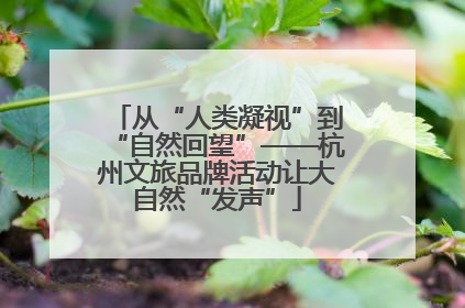 从“人类凝视”到“自然回望”——杭州文旅品牌活动让大自然“发声”