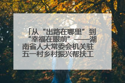 从“出路在哪里”到“幸福在眼前”——湖南省人大常委会机关驻五一村乡村振兴帮扶工作队书写振兴答卷