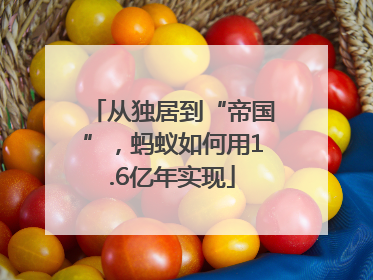 从独居到“帝国”，蚂蚁如何用1.6亿年实现