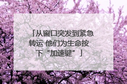 从窗口突发到紧急转运 他们为生命按下“加速键”