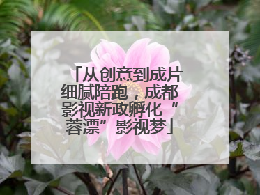 从创意到成片细腻陪跑，成都影视新政孵化“蓉漂”影视梦