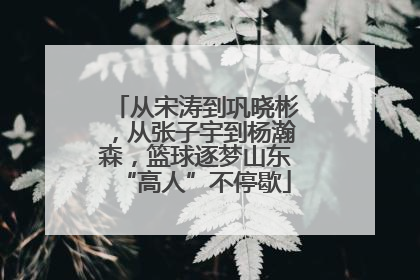 从宋涛到巩晓彬，从张子宇到杨瀚森，篮球逐梦山东“高人”不停歇