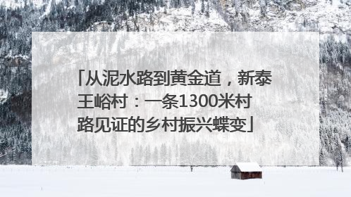 从泥水路到黄金道，新泰王峪村：一条1300米村路见证的乡村振兴蝶变