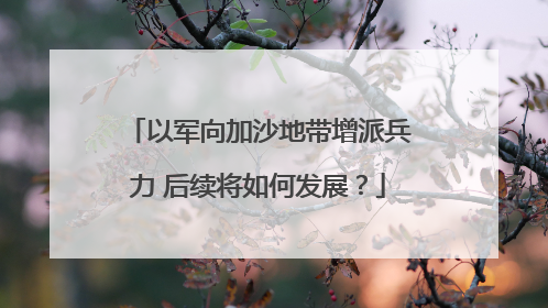 以军向加沙地带增派兵力 后续将如何发展？