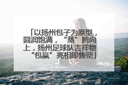 以扬州包子为原型，圆润饱满，“蒸”腾向上，扬州足球队吉祥物“包赢”亮相即售罄