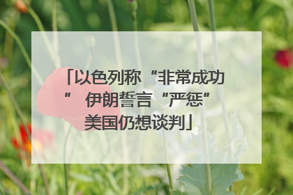 以色列称“非常成功” 伊朗誓言“严惩” 美国仍想谈判