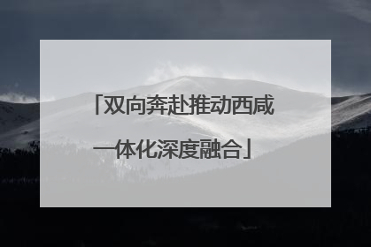 双向奔赴推动西咸一体化深度融合