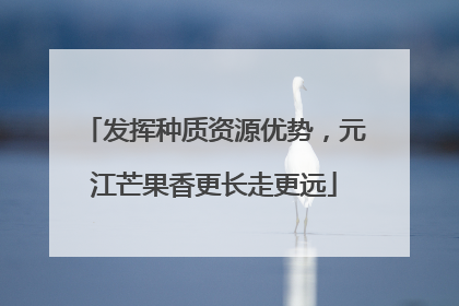 发挥种质资源优势，元江芒果香更长走更远