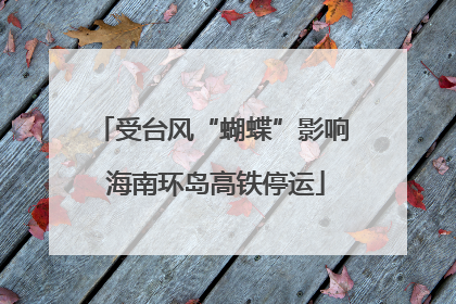 受台风“蝴蝶”影响 海南环岛高铁停运