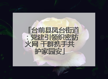 台前县凤台街道：党建引领织密防火网 干群携手共护家园安