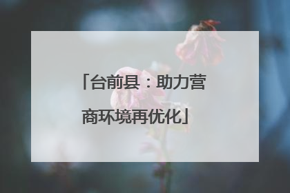 台前县：助力营商环境再优化