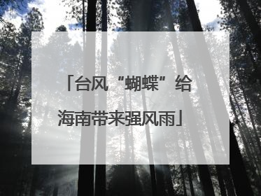 台风“蝴蝶”给海南带来强风雨