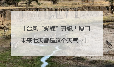 台风“蝴蝶”升级！厦门未来七天都是这个天气→