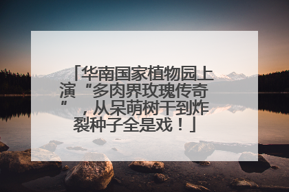 华南国家植物园上演“多肉界玫瑰传奇”，从呆萌树干到炸裂种子全是戏！