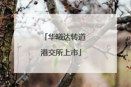 华曦达转道港交所上市