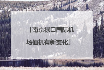 南京禄口国际机场值机有新变化