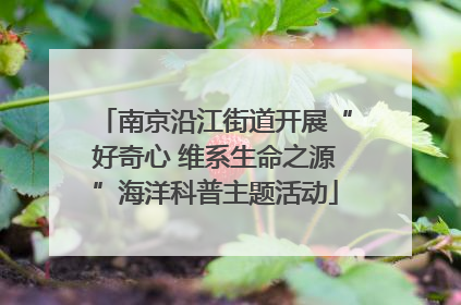 南京沿江街道开展“好奇心 维系生命之源”海洋科普主题活动