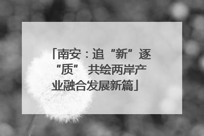 南安：追“新”逐“质” 共绘两岸产业融合发展新篇