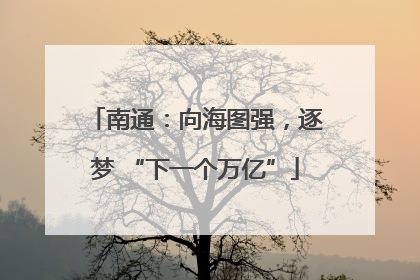 南通：向海图强，逐梦 “下一个万亿”